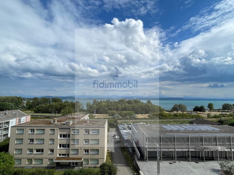 Meraviglioso appartamento di 3.5 locali completamente ristrutturato a Hauterive (6)