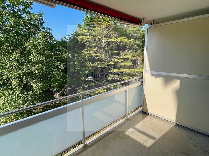 Ampio appartamento di 4 locali con balcone e posto auto (7)