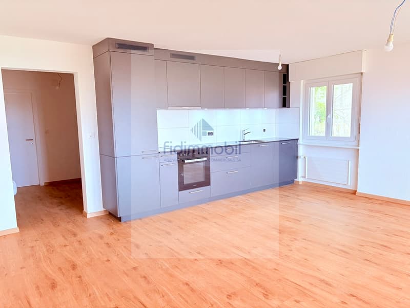Splendido appartamento di 4.5 locali in affitto vicino al centro città (2)