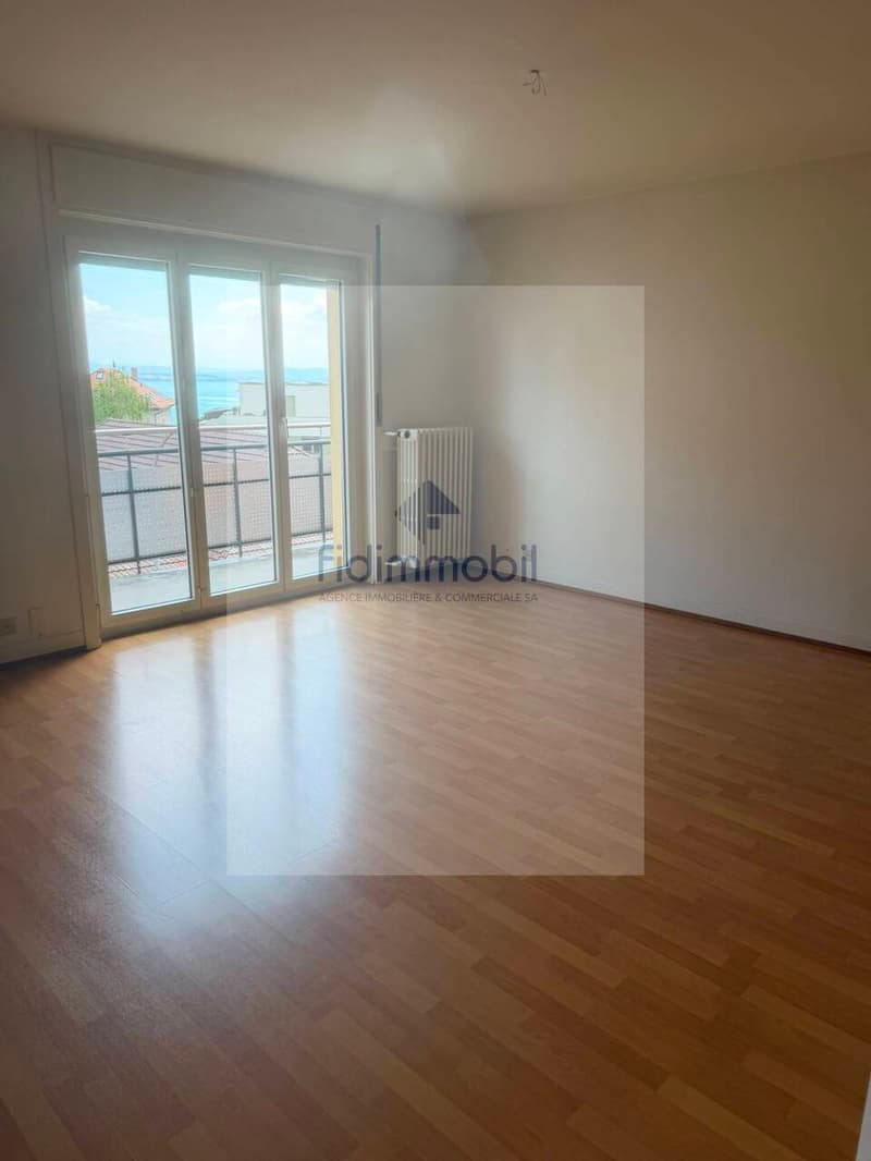 Splendido appartamento di 3 locali in affitto a Neuchâtel (2)