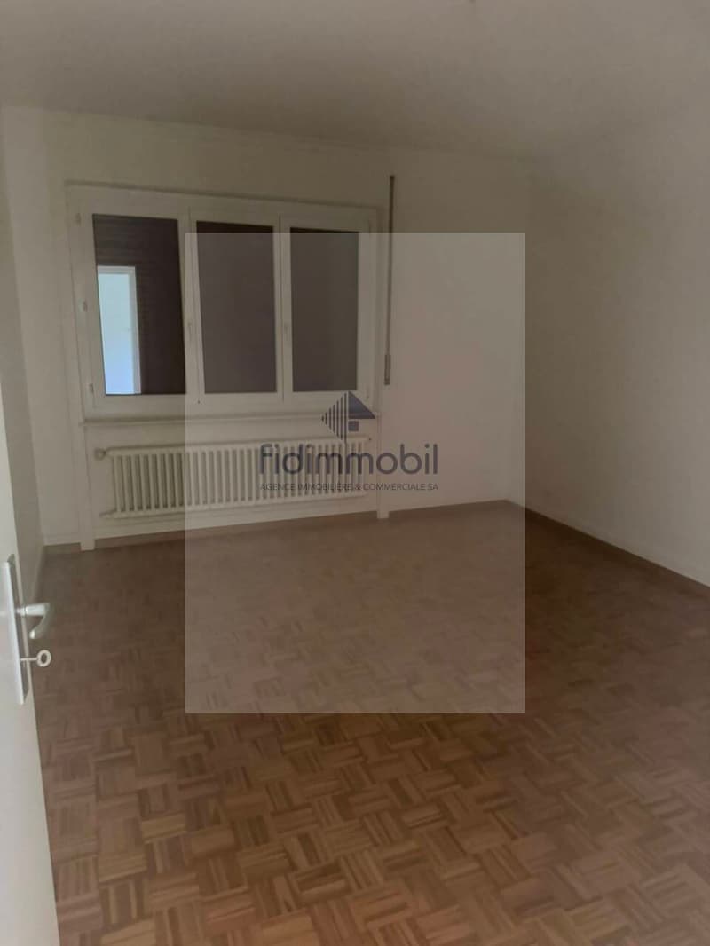Splendido appartamento di 3 locali in affitto a Neuchâtel (6)