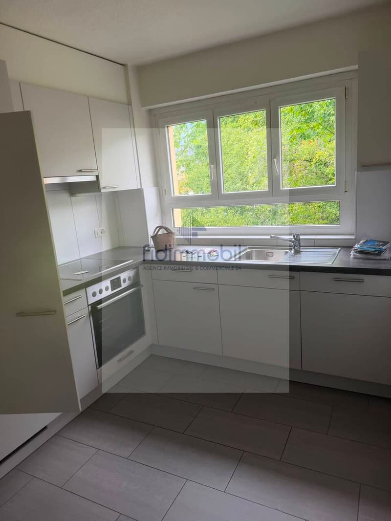 Splendido appartamento di 3 locali in affitto a Neuchâtel (4)