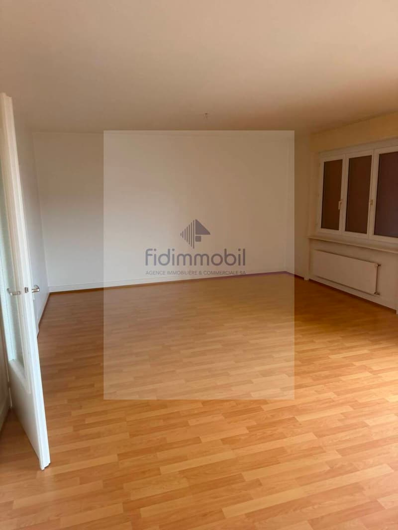 Splendido appartamento di 3 locali in affitto a Neuchâtel (7)