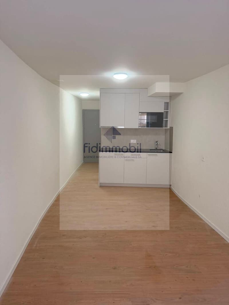 Splendid studio for rent in the Center-Ville of Neuchâtel (1)