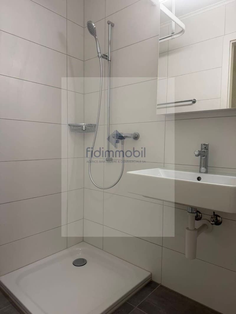 Splendid studio for rent in the Center-Ville of Neuchâtel (4)
