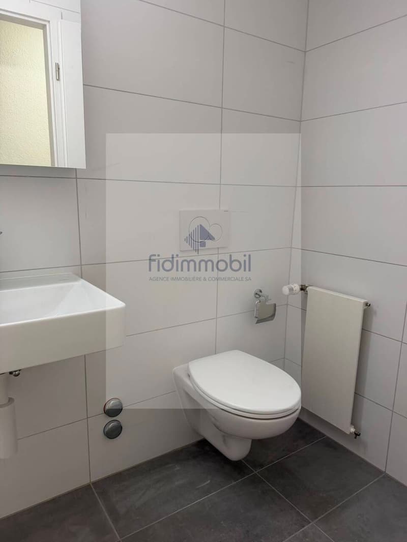 Splendid studio for rent in the Center-Ville of Neuchâtel (3)
