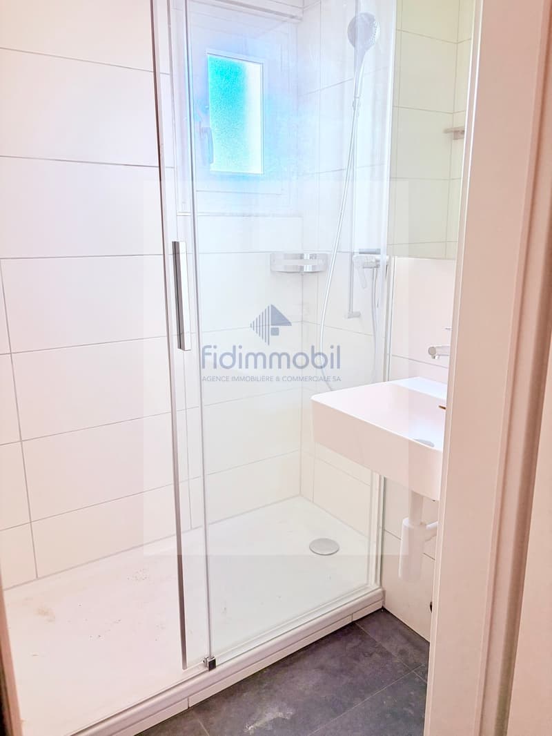 Splendid 4.5-room apartment for rent near the city center (4)