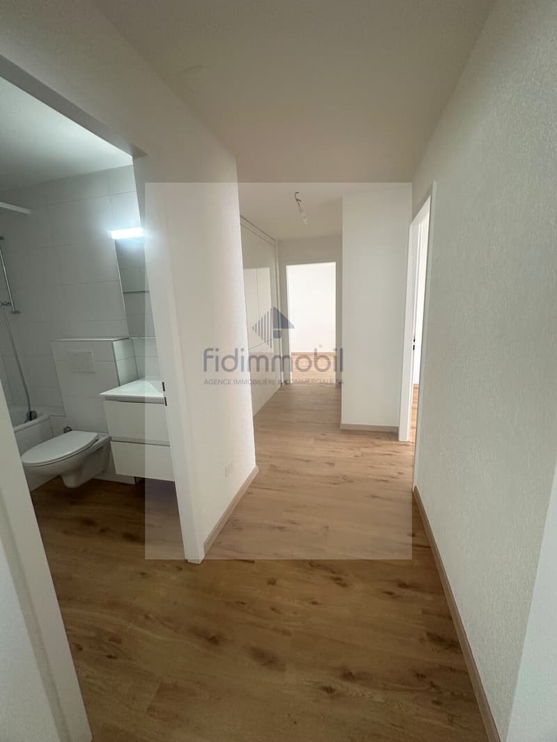 Magnificent fully renovated apartment (6)