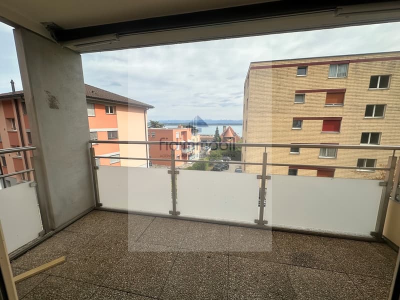 Magnificent fully renovated apartment (4)