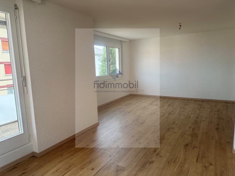Magnificent fully renovated apartment (3)