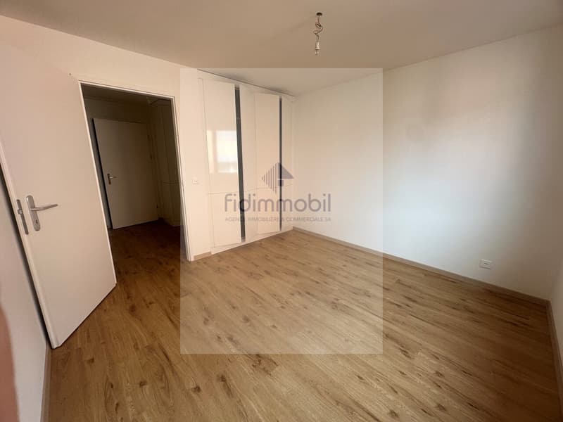 Magnificent fully renovated apartment (9)