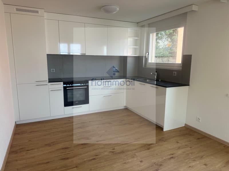 Magnificent fully renovated apartment (1)