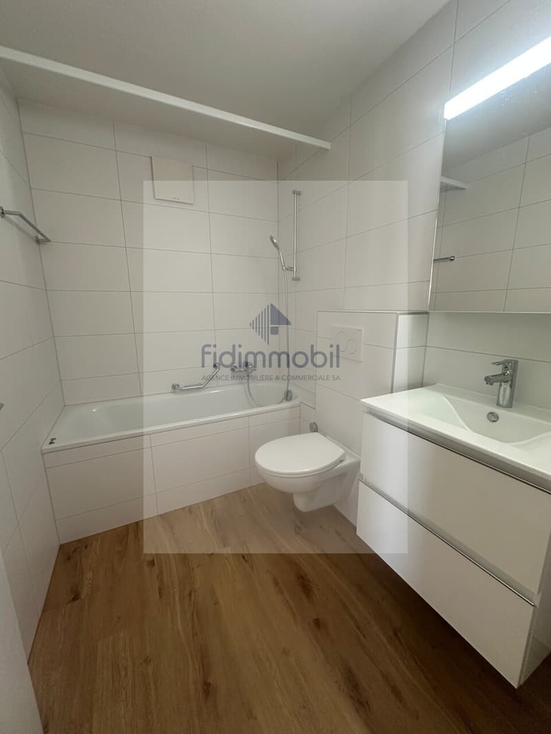 Magnificent fully renovated apartment (7)