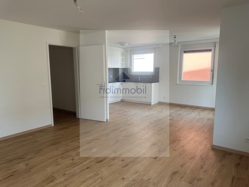 Magnificent fully renovated apartment (2)