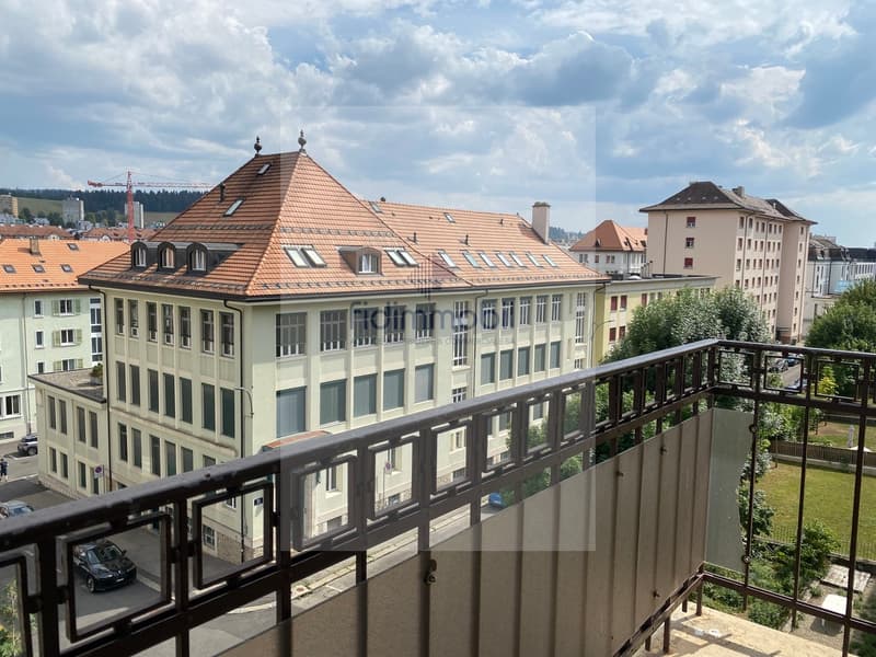 Prächtige 4-Zimmer-Wohnung, kürzlich renoviert (8)