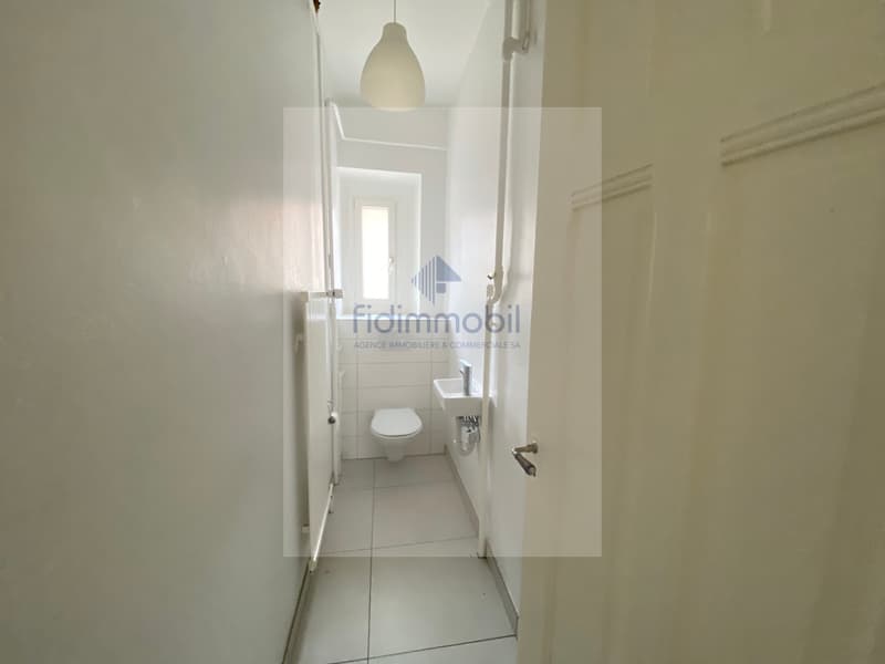 Prächtige 4-Zimmer-Wohnung, kürzlich renoviert (7)