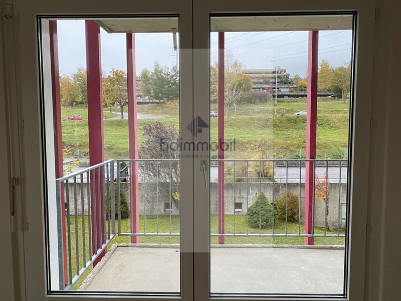Zu vermieten, AVS/AI, 2.5 Zimmer renoviert, Albert-Monard 4, La Chaux-de-Fonds (9)