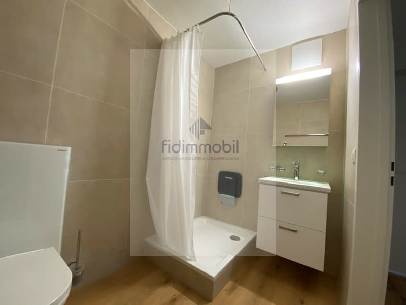 Zu vermieten, AVS/AI, 2.5 Zimmer renoviert, Albert-Monard 4, La Chaux-de-Fonds (8)