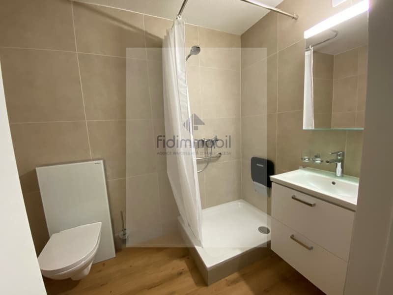 Zu vermieten, AVS/AI, 2.5 Zimmer renoviert, Albert-Monard 4, La Chaux-de-Fonds (7)