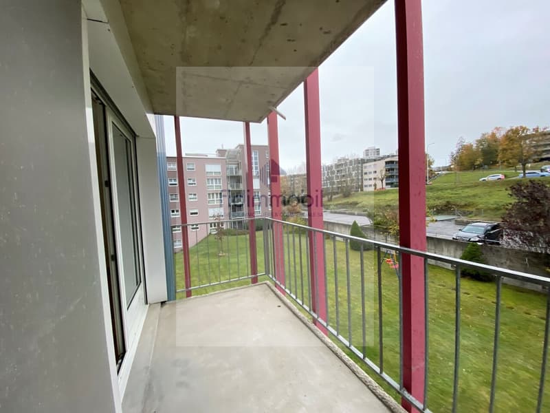 Zu vermieten, AVS/AI, 2.5 Zimmer renoviert, Albert-Monard 4, La Chaux-de-Fonds (10)
