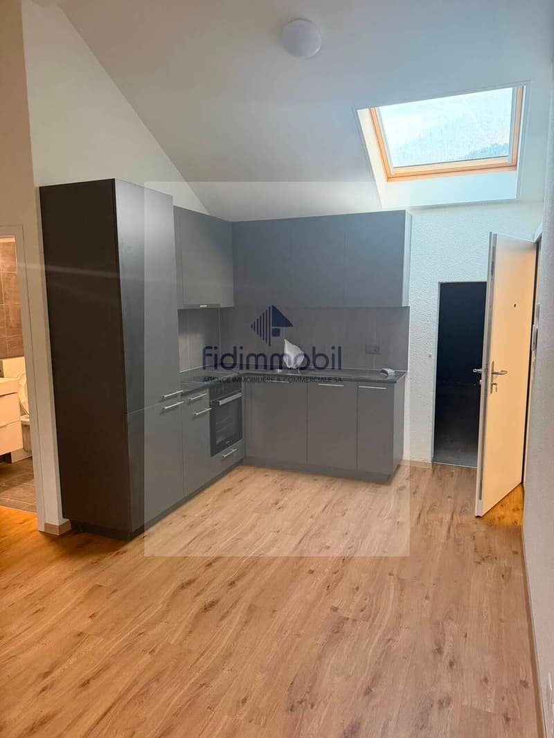 Splendido loft nuovo, in affitto a Peseux (1)