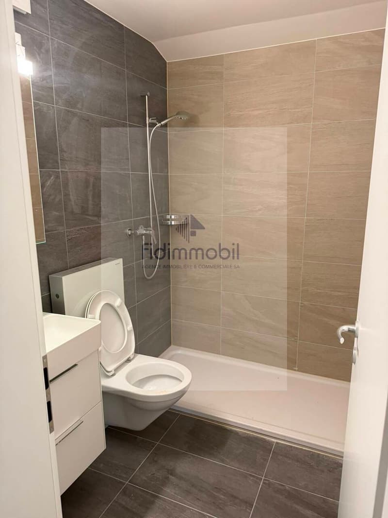 Splendido loft nuovo, in affitto a Peseux (3)