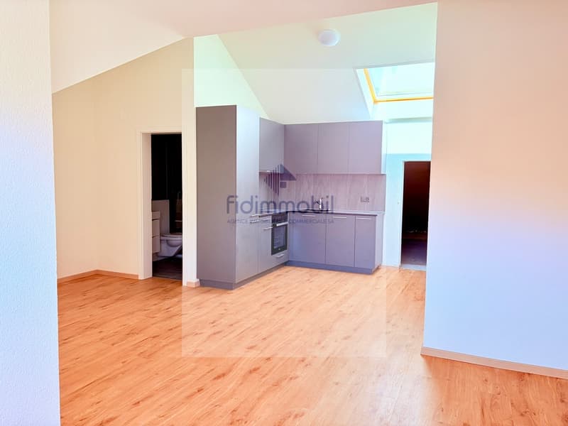 Splendido loft nuovo, in affitto a Peseux (1)
