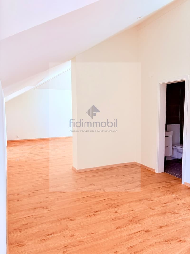 Splendido loft nuovo, in affitto a Peseux (2)