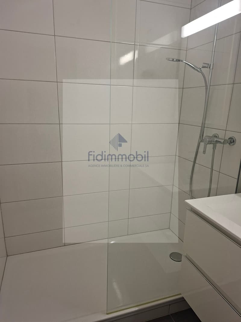 Beautiful 2-room modern apartment, Léopold-Robert 128, La Chaux-de-Fonds (5)