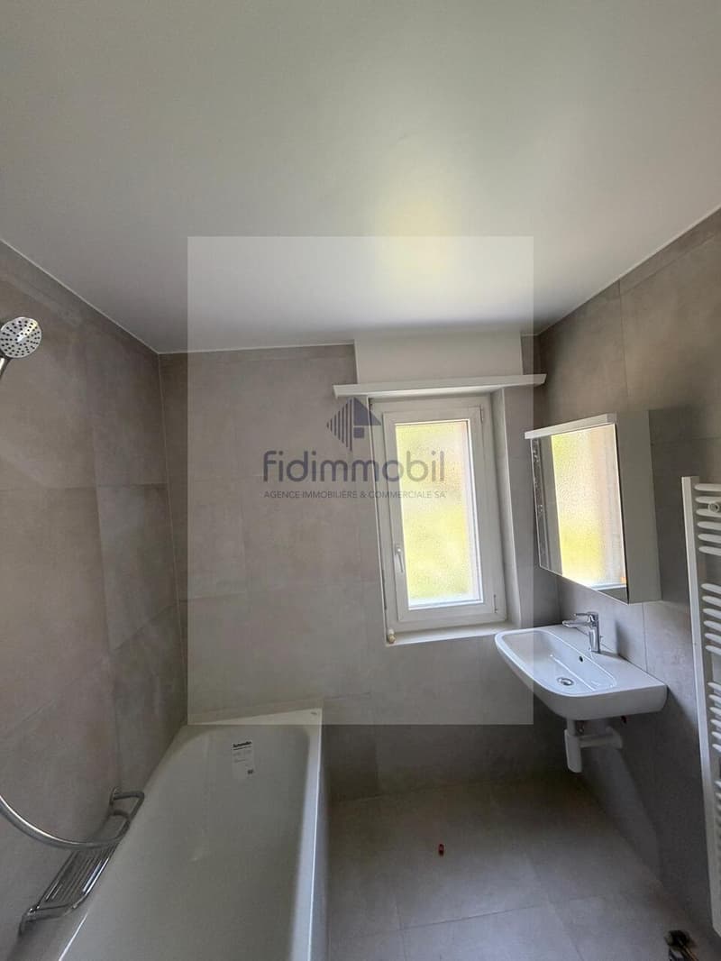 Appartement de 4 pièces entièrement rénové (3)