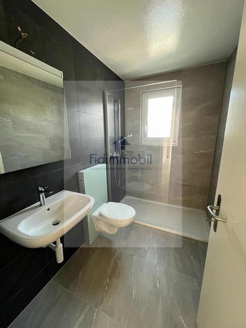Splendide appartement de 3,5 pièces entièrement rénové, situé au rez-d (1)