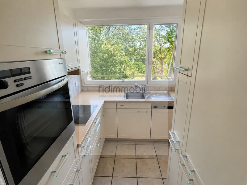 Appartement de 3 pièces avec cheminée, jardin d'hiver et terrasse (1)
