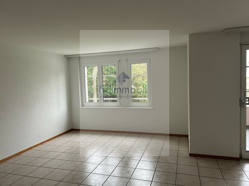 GRAND APPARTEMENT AVEC BALCON (3)