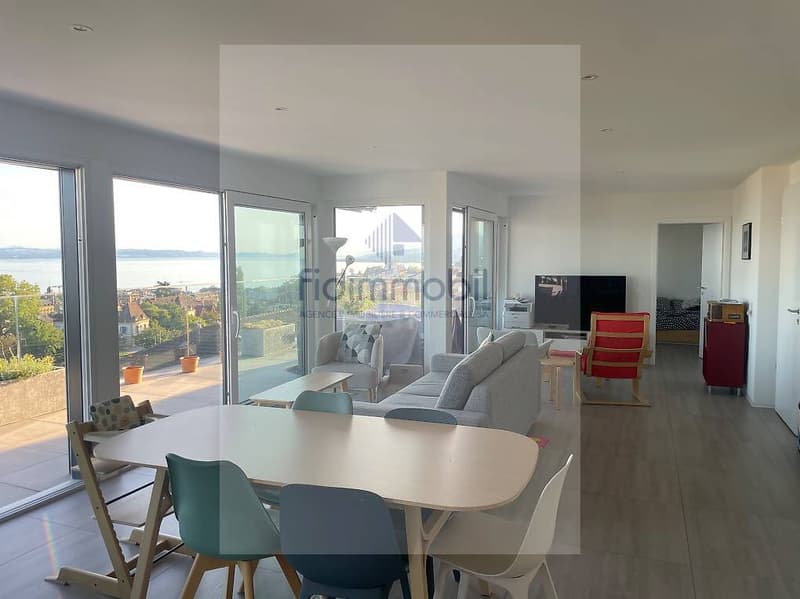 Magnifique attique avec terrasse de 80m2 et vue sur le lac (2)