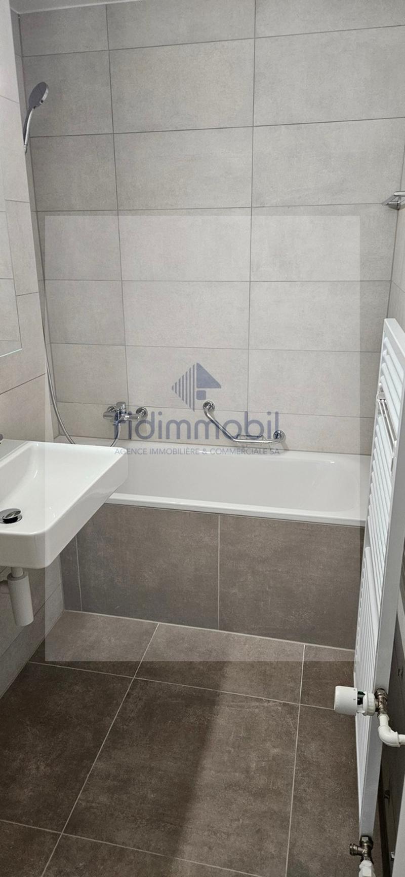 Bel appartement entièrement rénové, lumineux et agréable à vivre (4)