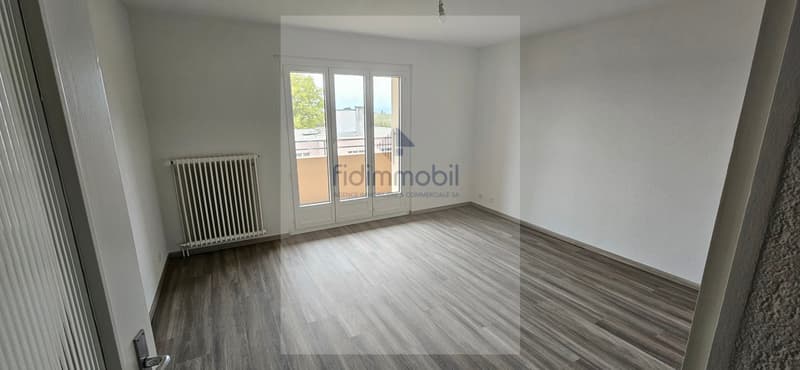 Bel appartement entièrement rénové, lumineux et agréable à vivre. (1)