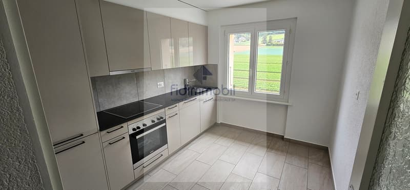 Bel appartement entièrement rénové, lumineux et agréable à vivre. (5)