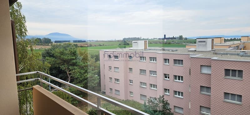 Bel appartement entièrement rénové, lumineux et agréable à vivre. (2)