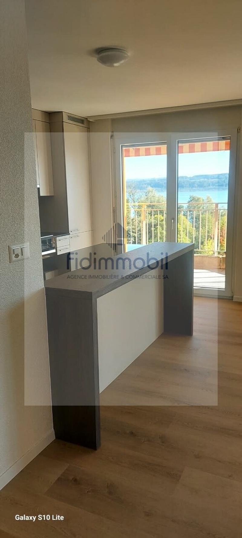 Bel appartement entièrement rénové, lumineux et agréable à vivre. (5)