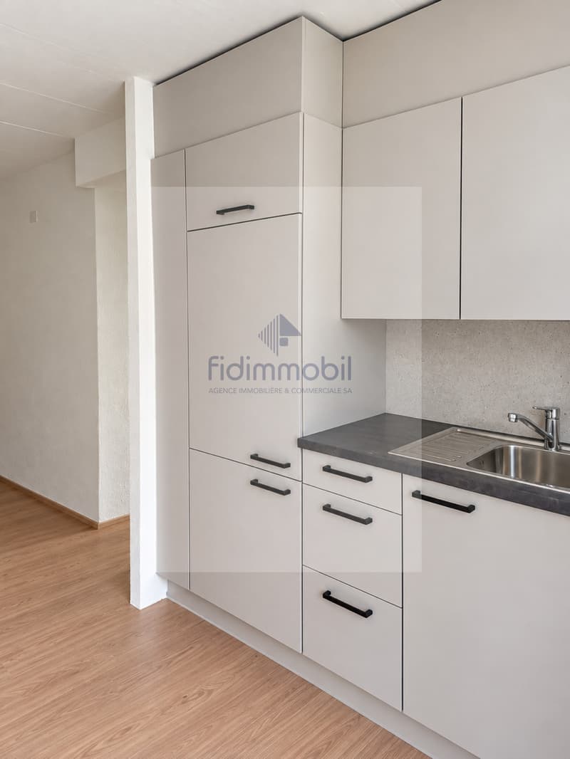 Appartement rénové d'une 1.5 pièce (1)
