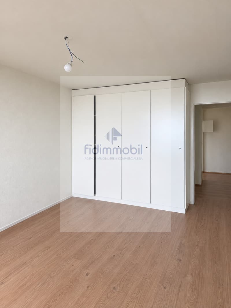 Appartement rénové d'une 1.5 pièce (2)