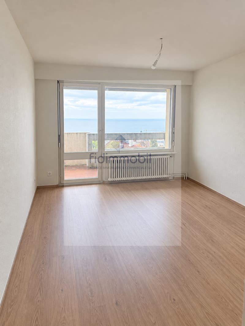 Appartement rénové d'une 1.5 pièce (3)