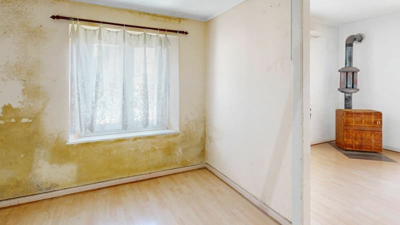 Maison de 2 générations avec potentiel à Liesberg Village (26)