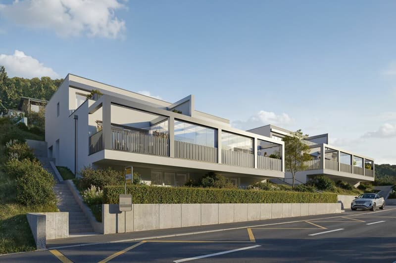NEW BUILD: 6 single-family homes with various amenities (4)