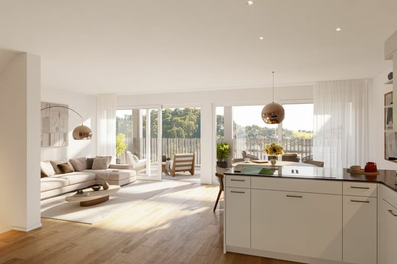 NEW BUILD: 6 single-family homes with various amenities (3)