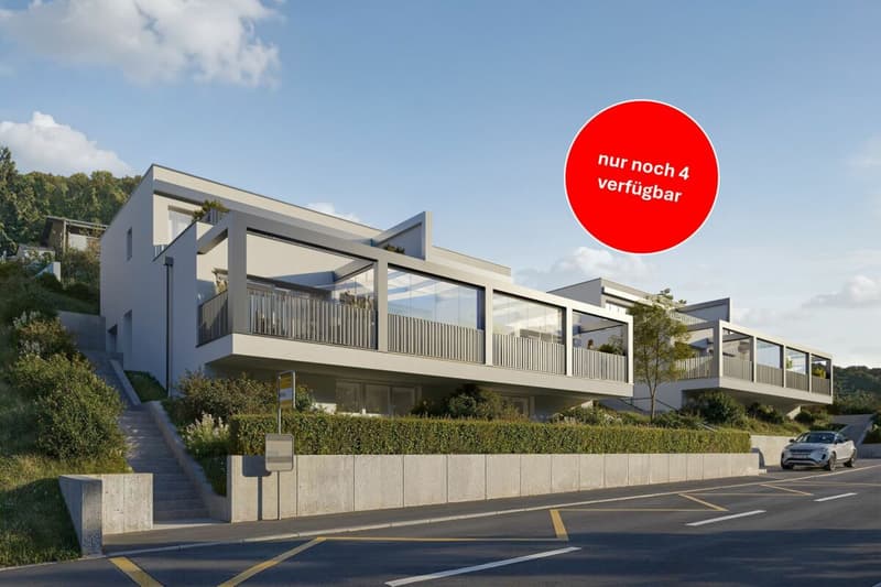 NEW BUILD: 6 single-family homes with various amenities (1)