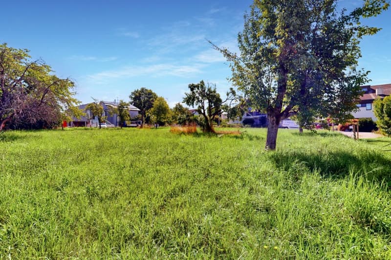 Terreno meraviglioso in una posizione da sogno (11)