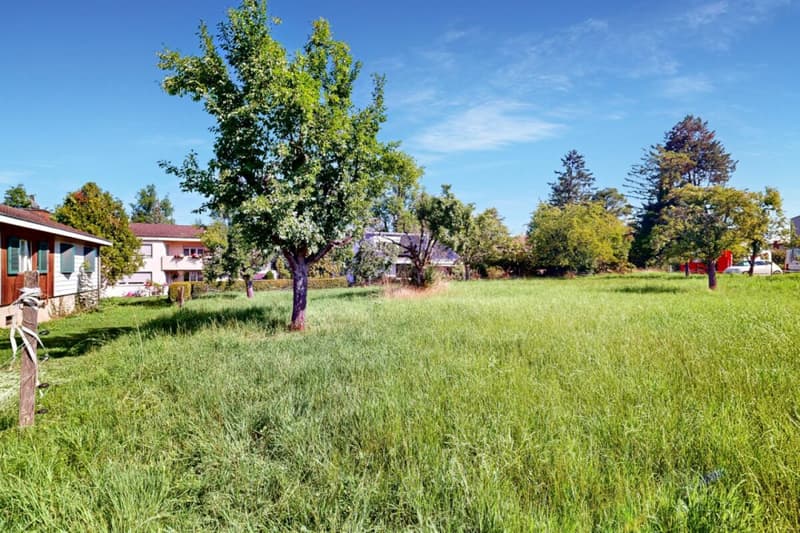 Terreno meraviglioso in una posizione da sogno (8)