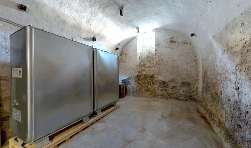 Haus mit viel Nutzfläche, Charme und Potenzial (14)