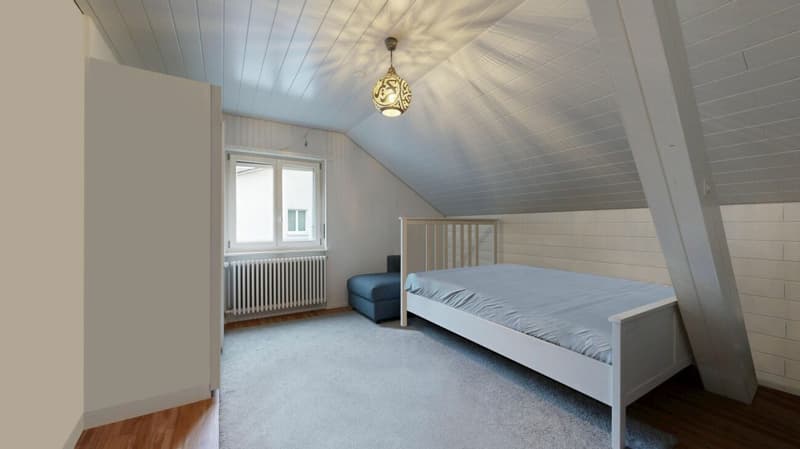 grosszügiges Einfamilienhaus / Bauland (9)